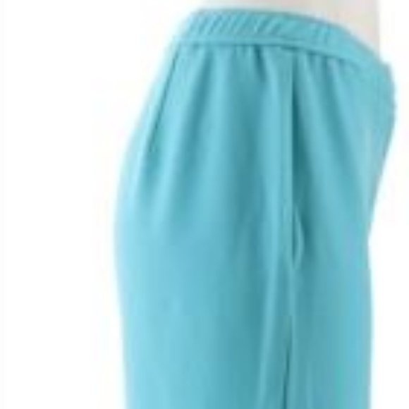 NWT LINEA BY LOUIS DELL'OLIO AQUA WOVEN PANTS 26 - Picture 8 of 13
